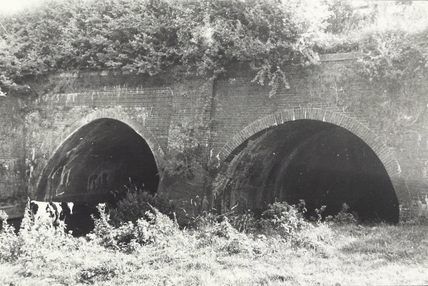 BW200-1-40-166-4 image BW200-1-40-166-4
