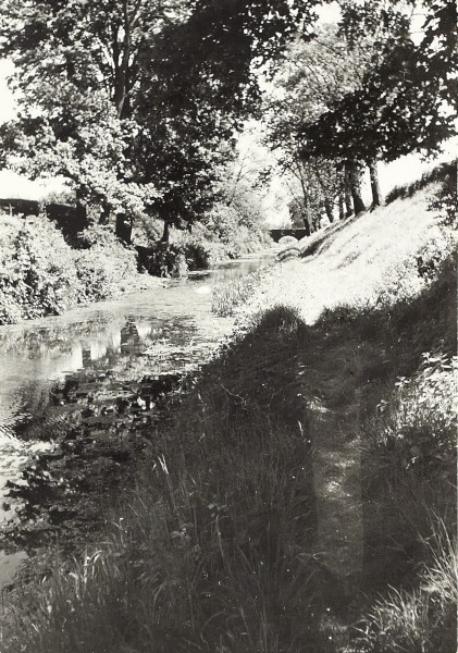 BW200-1-81-7-4 image BW200-1-81-7-4