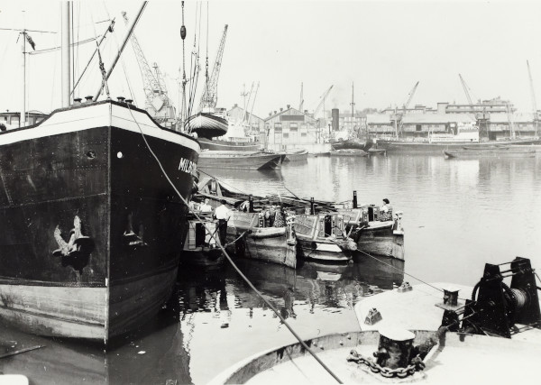 BW192-3-1-34-7-4 image BW192-3-1-34-7-4