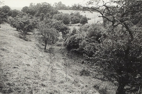 BW200-1-5-7-4 image BW200-1-5-7-4