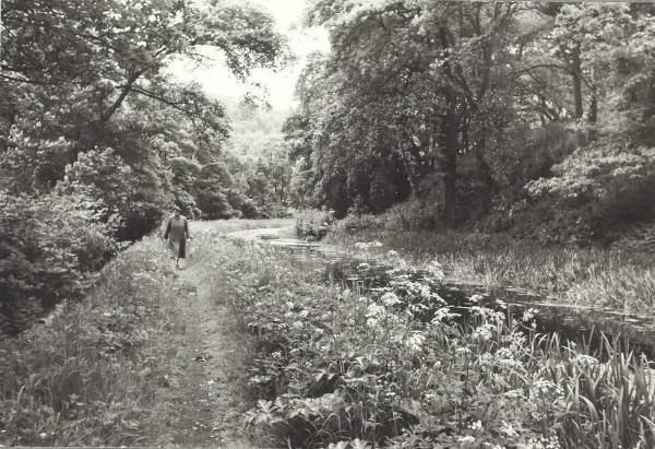 BW200-1-27-4 image BW200-1-27-4