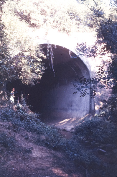 BW197-2-34-27-4 image BW197-2-34-27-4