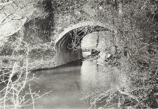 BW200-1-16-8-4 image BW200-1-16-8-4