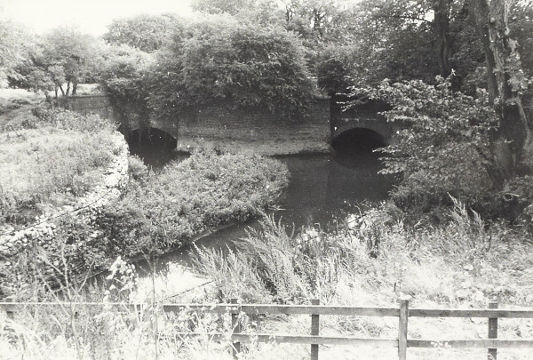 BW200-1-99-98-4 image BW200-1-99-98-4