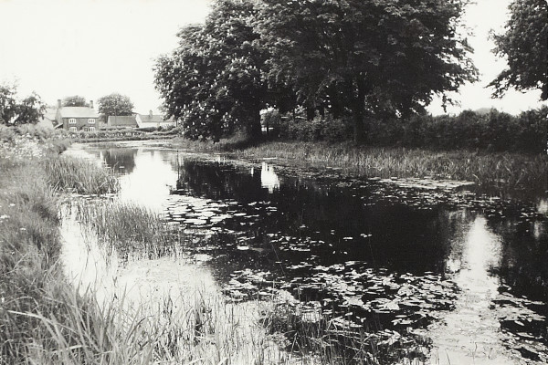 BW200-1-2-9-4 image BW200-1-2-9-4