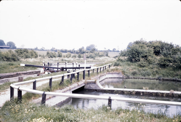 BW197-2-8-29-4 image BW197-2-8-29-4