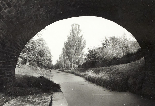 BW200-1-47-49-4 image BW200-1-47-49-4