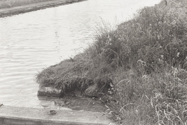 BW192-3-2-1-30-104 image BW192-3-2-1-30-104