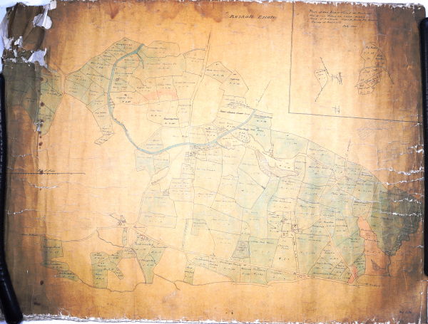 bw165-15-4-4 image bw165-15-4-4