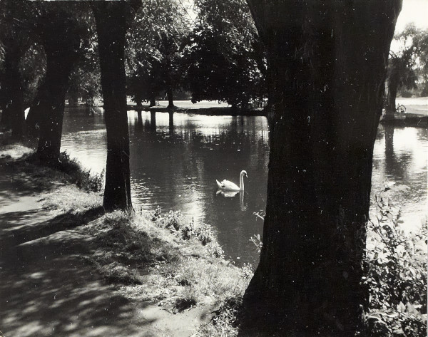 BW200-1-71-1-14 image BW200-1-71-1-14