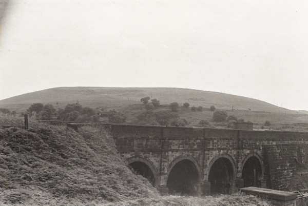 BW192-3-2-1-13-14 image BW192-3-2-1-13-14