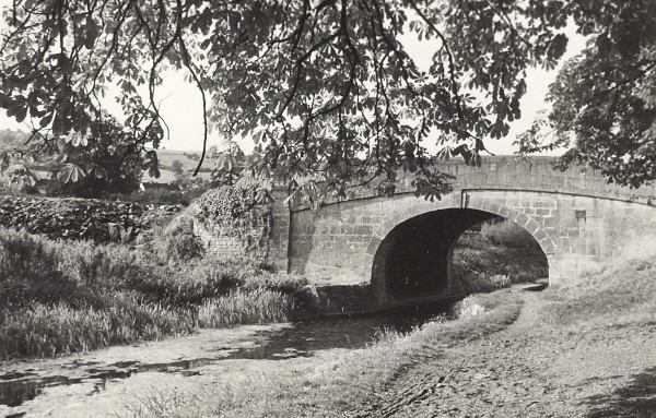 BW200-1-47-14 image BW200-1-47-14