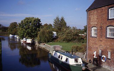 crt_wild_34 image crt_wild_34