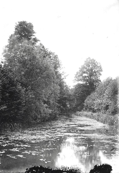 R0214 image R0214