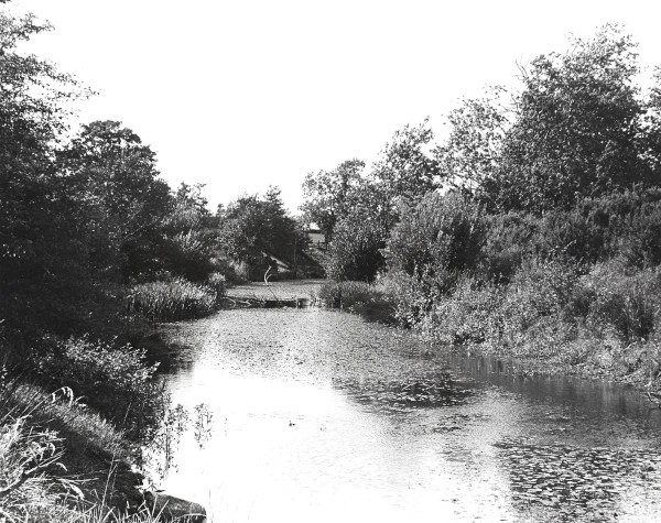 R0414 image R0414
