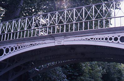 crt_wild_225 image crt_wild_225