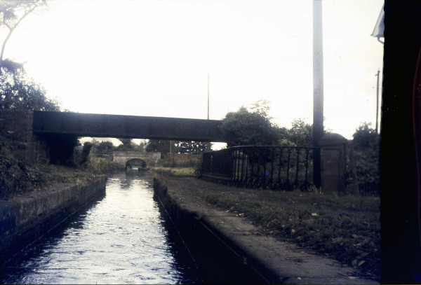 BW197-2-10-24 image BW197-2-10-24