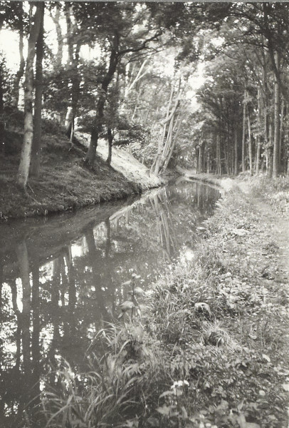 BW200-1-55-24 image BW200-1-55-24