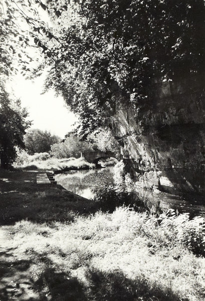BW200-1-89-29-24 image BW200-1-89-29-24