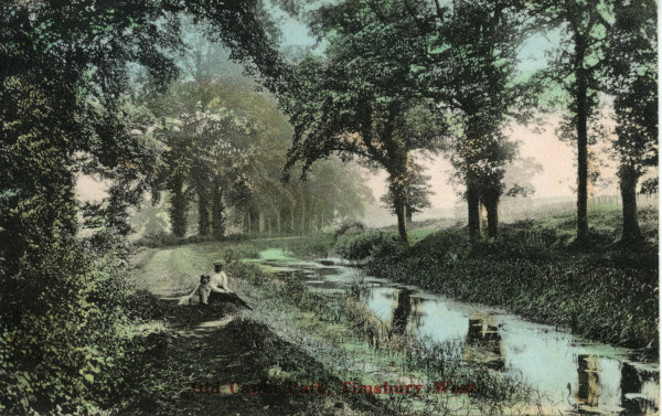 20022_0466 image 20022_0466