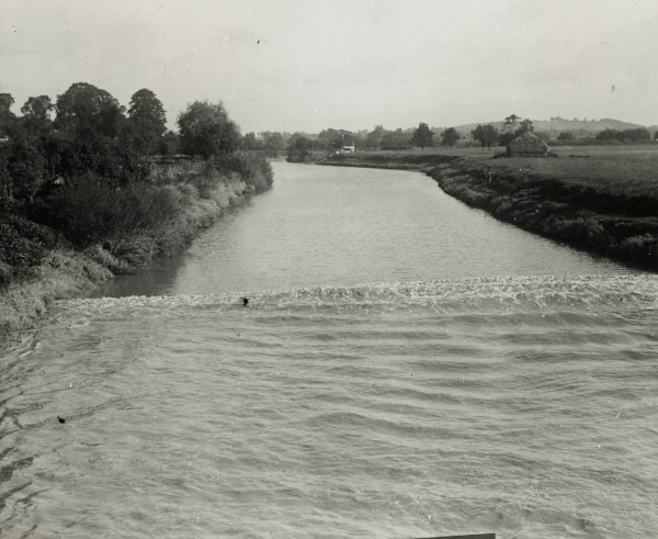 BW197-1-1-34 image BW197-1-1-34