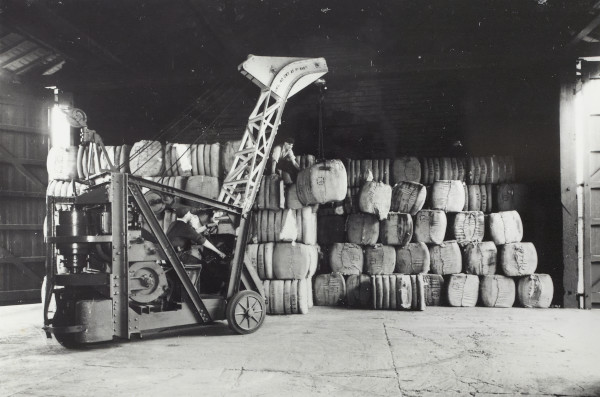 BW192-3-2-1-12-1-34 image BW192-3-2-1-12-1-34