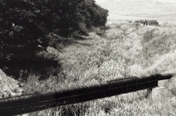 BW192-3-2-1-7-34 image BW192-3-2-1-7-34