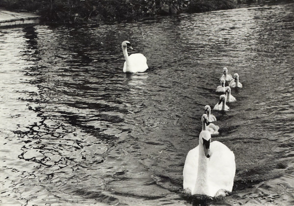 BW200-1-47-34 image BW200-1-47-34