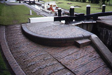 crt_wild_14 image crt_wild_14