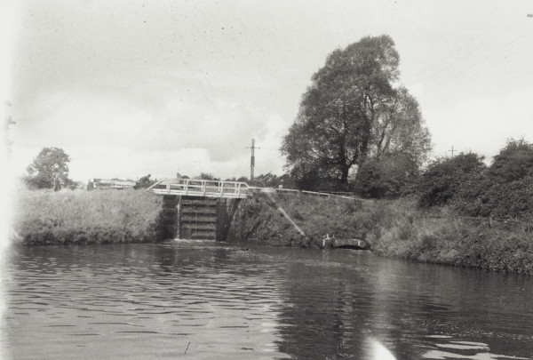 BW192-3-2-1-12-1-134 image BW192-3-2-1-12-1-134