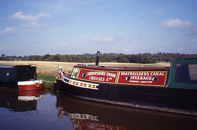 crt-wild-44 image crt-wild-44