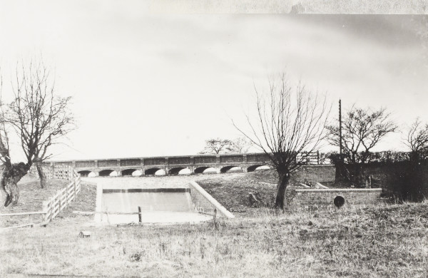 BW192-3-2-2-12-1-334 image BW192-3-2-2-12-1-334