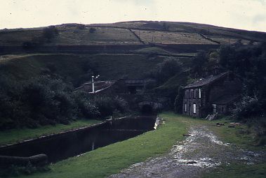 crt_wild_189 image crt_wild_189