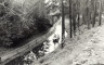 BW200-1-55-44 image BW200-1-55-44