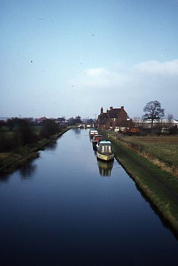 crt-wild-55 image crt-wild-55