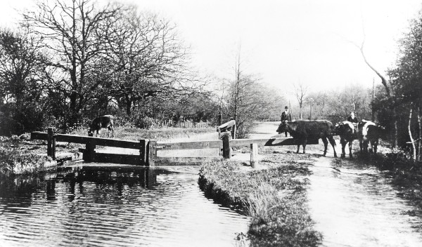 R0154 image R0154