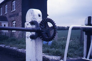 crt_wild_127 image crt_wild_127