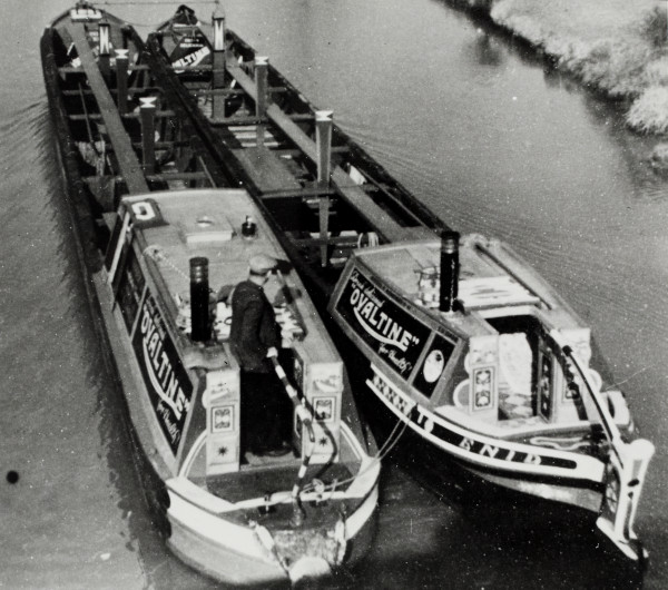 BW192-3-2-2-13-1-264 image BW192-3-2-2-13-1-264