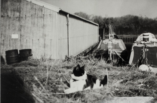 BW192-3-2-2-13-1-574 image BW192-3-2-2-13-1-574