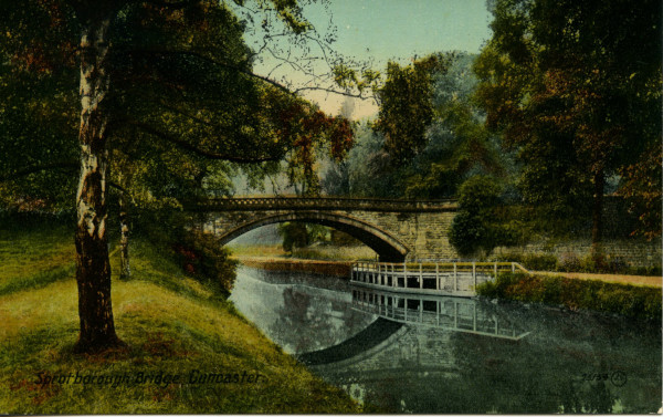 20022_0411 image 20022_0411