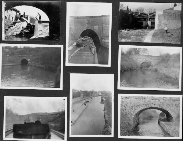 section 19 image section 19