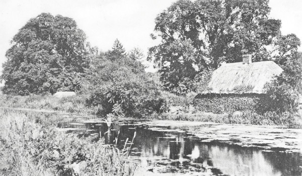 R0184 image R0184