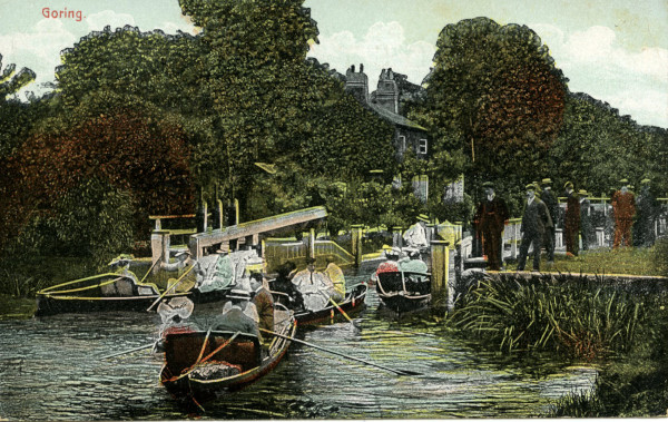 20022_0533 image 20022_0533