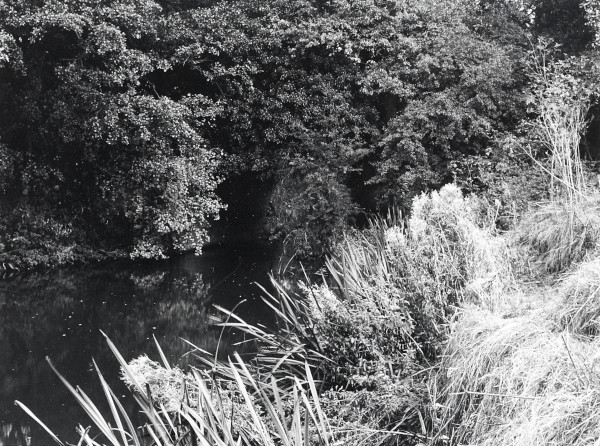 R0884 image R0884