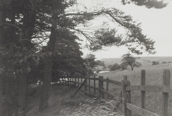 BW192-3-2-1-12-1-94 image BW192-3-2-1-12-1-94