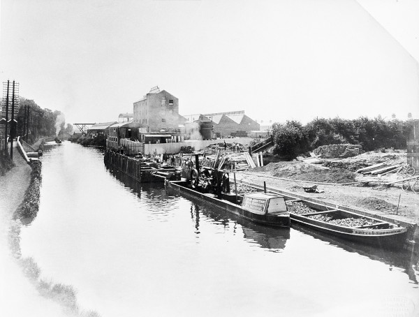 R0594 image R0594