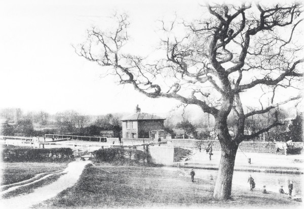 R0694 image R0694