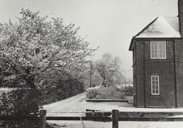 BW192-3-1-10-5 image BW192-3-1-10-5