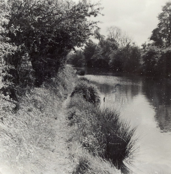 BW192-2-10-5 image BW192-2-10-5