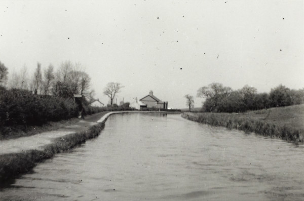 BW192-3-1-29-10-5 image BW192-3-1-29-10-5